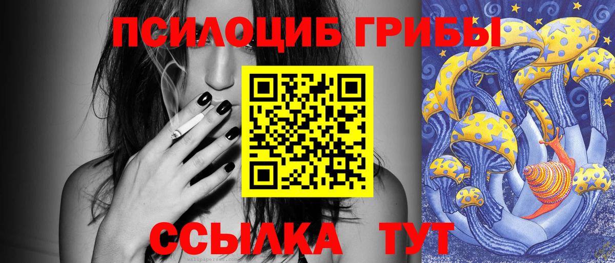 цена   Вход с VPN  Кемерово  Галлюциногенные грибы Psilocybe 